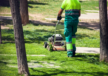 WEED CONTROL post thumbnail