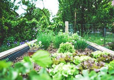 URBAN GARDENING post thumbnail